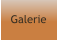 Galerie