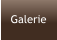 Galerie